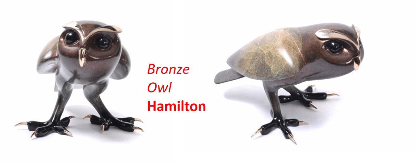 Tim-Cotterill-Bronze-Owl-Hamilton