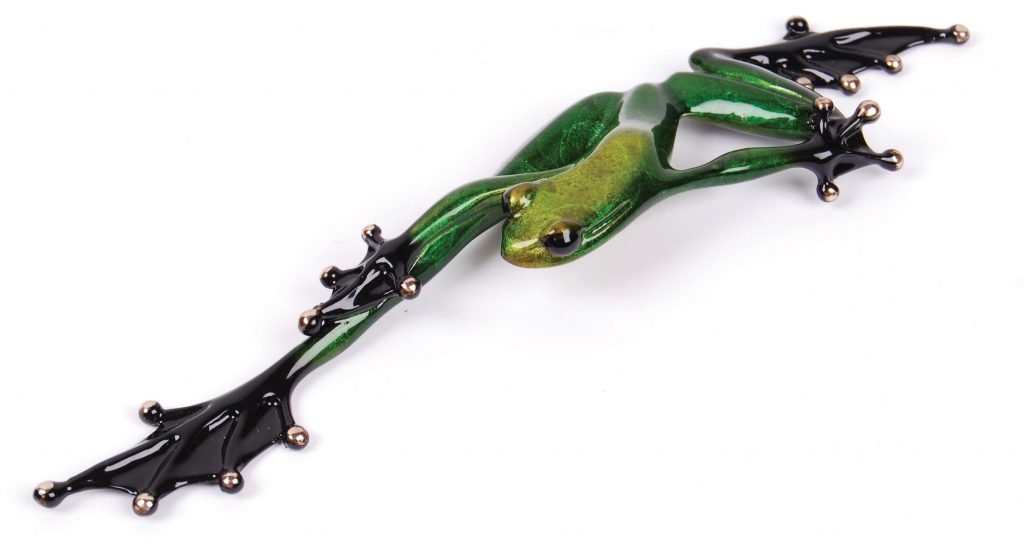 Fiji Bronze Frog