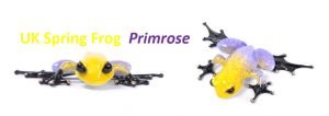 UK Spring Frog - Primrose