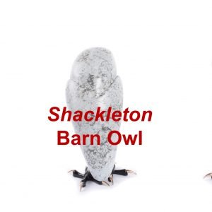 Shackleton Bronze Barn Owl